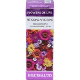 Equisalud flower of life perdidas afectivas 15ml.