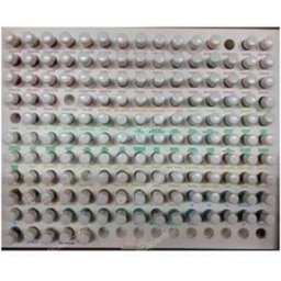 Terpenic kit kinesiologico - terpenic