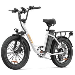 Bicicleta eléctrica todo terreno URLIFE E20 Motor 250W Batería 48V 13Ah Neumáticos 20