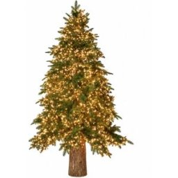 EDG Árbol de navidad de 300 cm con 10000 mini led, ø205 cm