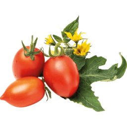 VERITABLE VER L5-TOM016 - Jardín interior, tomates cereza