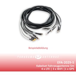 PANORAMA ANTENNAS PAA EFA-2029-5 - Antenas de cable para vehículos 2x LTE + 3x WiFi + 1x GPS