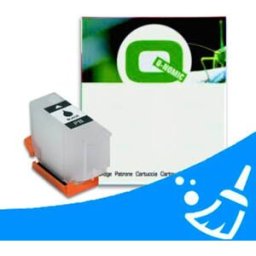 Q-Nomic 202PBK XL limpiador de cabezal foto negro