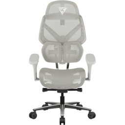 TX3 Silla Ergonómica (ThunderX3) FLEX Pro con Soporte Lumbar de 360° - Mesh Gris