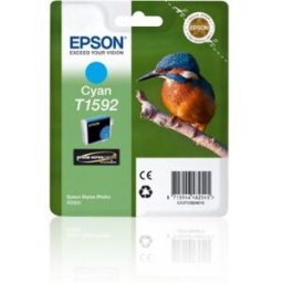 Epson TINTA CIAN STYLUS PHOTO R2000