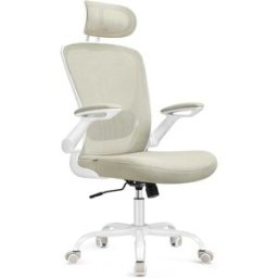 SONGMICS Silla de escritorio ergonómica de malla de color beige y blanco