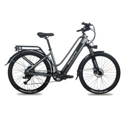 Bicicleta Eléctrica Hedatx TX10 48V 19,2Ah Frenos de Disco Hidráulicos 27,5