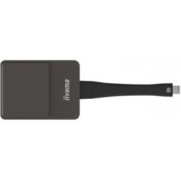IIYAMA WP D002C adaptador Smart TV USB 4K Ultra HD Negro, Plata