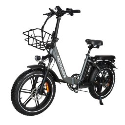 Bicicleta Eléctrica Baolujie Moto Chefe DZ-2030 500 W 48 V 16 Ah 40 km/h