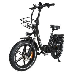Bicicleta Eléctrica Baolujie Moto Chefe DZ-2030 500 W 48 V Neumáticos 20