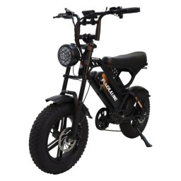 Bicicleta Eléctrica Baolujie F2 Motor 500 W 48 V 13 Ah Neumáticos 16" Velocidad 45 km/h