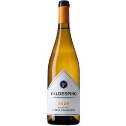 Valdespino Viña Macharnudo Alto Palomino Barrel Fermented 2024 - Vino español premium de Grupo Estévez