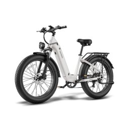 Bicicleta Eléctrica Fafrees F26 Rover 48V 20Ah 250W Gris