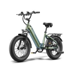 Bicicleta Eléctrica Fafrees F20 Rover 48V 15Ah 250W