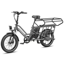 Bicicleta Eléctrica Familiar Fafrees FF20 CUV 48V 24Ah 250W Carga 200kg