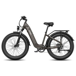 Bicicleta eléctrica Fafrees F26 Rover 48V 20Ah 250W 70-95km 26" Negro