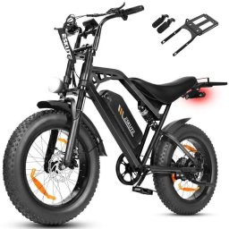 Moto Eléctrica Eskute V202 250W 48V 20.8Ah 20" Frenos Mecánicos Negro