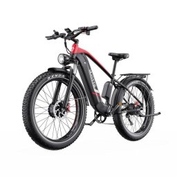 Bicicleta Eléctrica DUOTTS F26 Doble Motor 750 W 48 V 20 Ah Neumáticos 26" 4,0