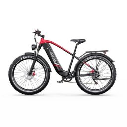 Bicicleta Eléctrica DUOTTS F26 Lite 500 W 48 V 18 Ah 26" Frenos Hidráulicos