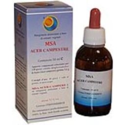 Herboplanet msa acer campestre yemas 50ml.