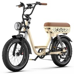 Bicicleta Eléctrica OneSport W77 250W 48V 18Ah Neumáticos 20