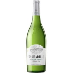 Barbadillo Blanco de Albariza 2025 - Vino Blanco de España con Graduación 13,50