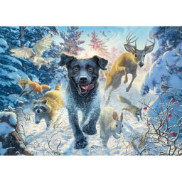 Puzzle Schmidt Spiele 1000 piezas Mark Fredrickson Perros
