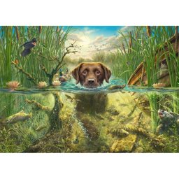 Puzzle Schmidt Spiele 58572 1000 piezas Mark Fredrickson Perros