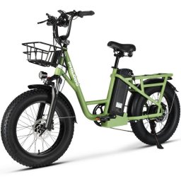 Bicicleta Eléctrica Philodo T1 Batería 48V 20Ah 7 Velocidades Neumático 20