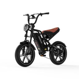 Bicicleta Eléctrica Koolux X9 Mini Motor 500 W Batería 48 V 13 Ah Neumáticos 20