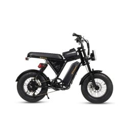 Bicicleta Eléctrica Bodywel M16 Pro 250 W 60 Nm 48 V 15 Ah 16