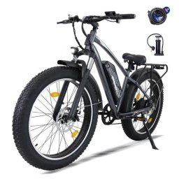 Bicicleta Eléctrica AVDL A35 26" x 4,0 Motor 250 W Batería 48 V 13 Ah Shimano