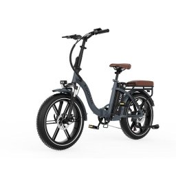 Bicicleta Eléctrica Koolux X16 Motor 500W Batería 48V 15,6Ah Neumáticos 20 Pulgadas Gris