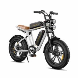 Bicicleta Eléctrica ENGWE M20 Motor 750 W Batería 75 km Neumáticos 20