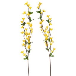 Rameaux de forsythia, 75 cm, 2 pièces