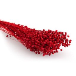 Fleurs de lin séchées, rouge