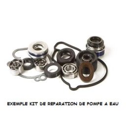 KIT REPARATION DE POMPE A EAU HOT RODS YAMAHA 700 YFM RAPTOR 2005-2014