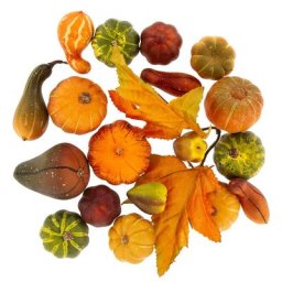 Mélange de citrouilles et courges déco, 20 pièces
