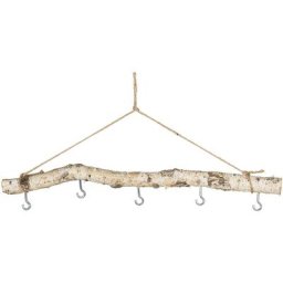 Branche de bouleau véritable, 5 crochets, env. 50 cm