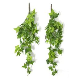 Branches de lierre, vert, 40 cm, 2 pièces
