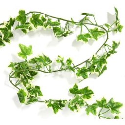 Guirlande de lierre, vert/blanc, 2,7 m