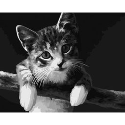Kit peinture par numéros ""chat"", 50 x 40 cm