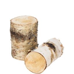 Minitroncs de bouleau
