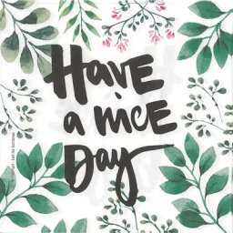 Serviettes en papier ""Have a nice day"", 33x 33 cm, 20 pièces