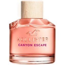 Hollister / Canyon Escape - Eau de Parfum for Her 100 ml