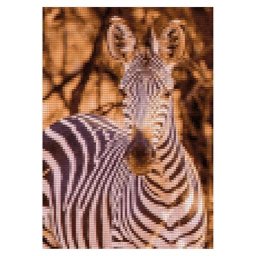 Kit broderie diamant ""zèbre"", 24 x 34 cm