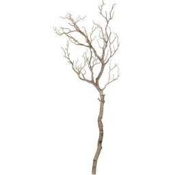 Branche déco, marron, 94 cm