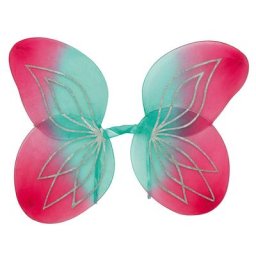 Ailes bicolores pour enfants, vert/rose, 43 x 67 cm
