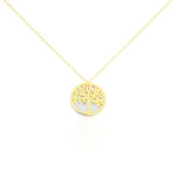 Collier Noamie Or Jaune Nacre
