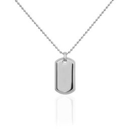 Collier Eutrope Acier Blanc